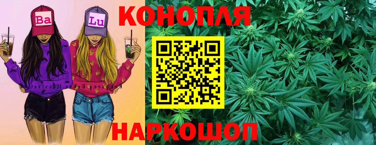Бошки Шишки Amnesia Новодвинск